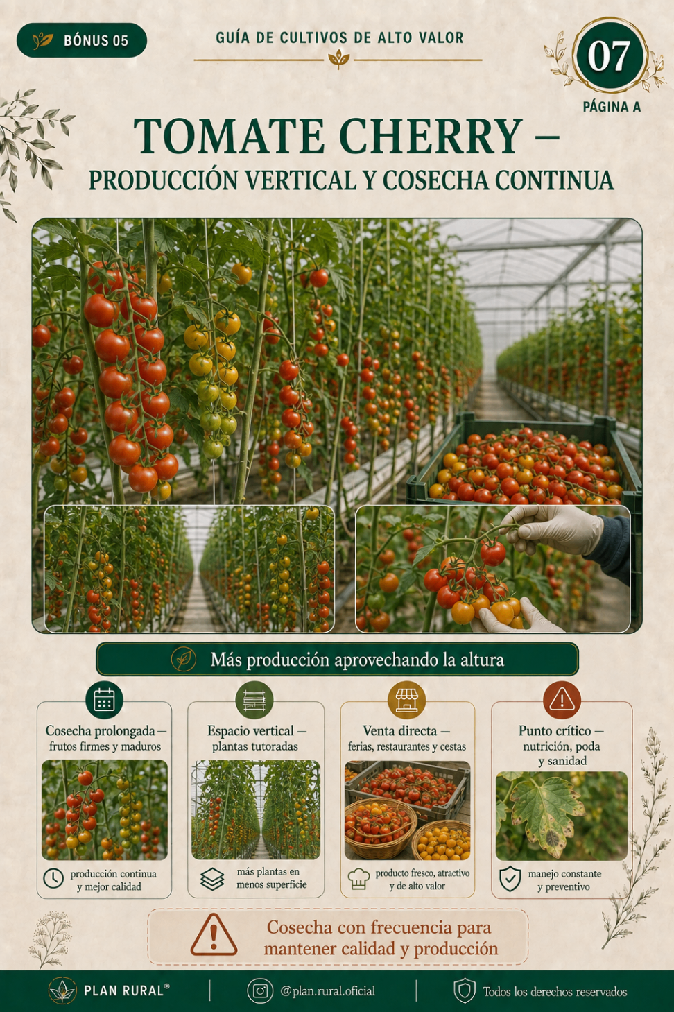 Muestra del material 17